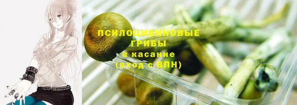 соль ск Бородино