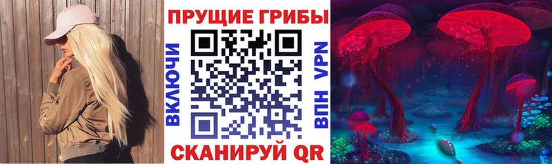 где найти   Гусиноозёрск  Галлюциногенные грибы прущие грибы 